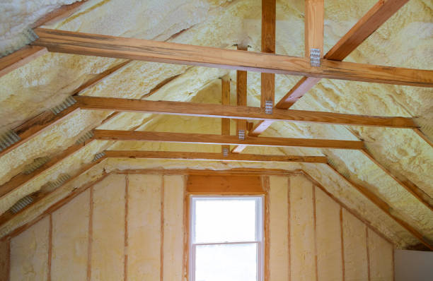 Best Home Insulation Services  in Mont Belvieu, TX