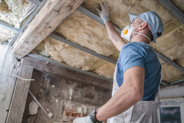 Best Best Insulation Companies  in Mont Belvieu, TX