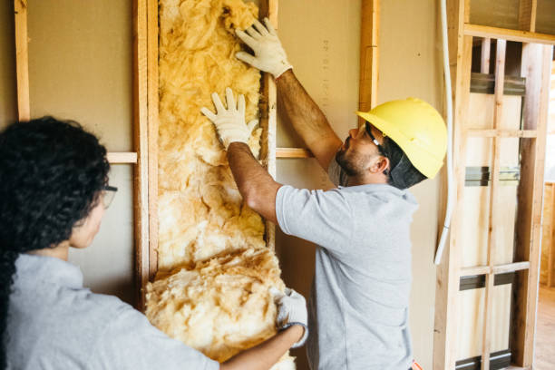 Best Professional Insulation Contractor  in Mont Belvieu, TX