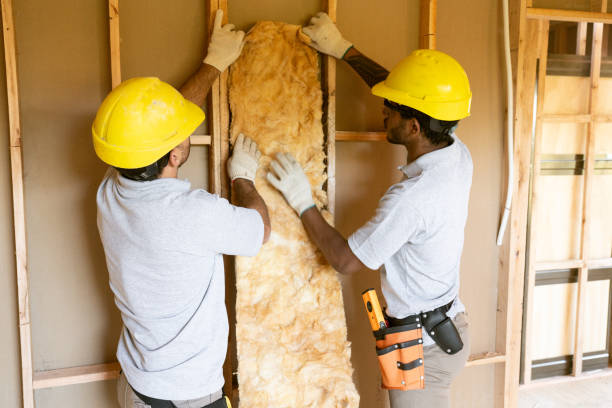 Garage Insulation Installation in Mont Belvieu, TX