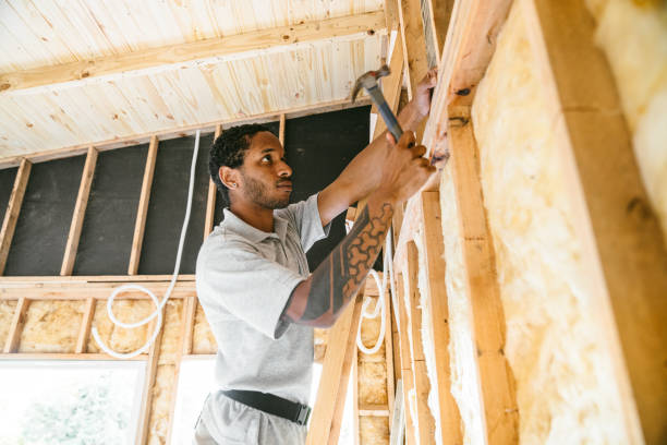 Best Cellulose Insulation  in Mont Belvieu, TX