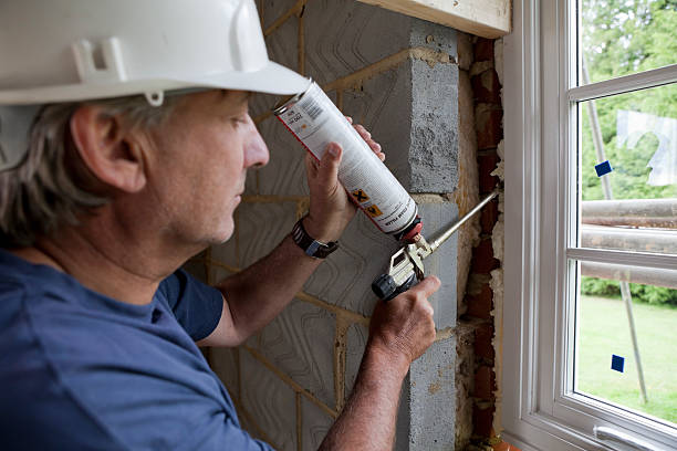 Best Local Insulation Services  in Mont Belvieu, TX