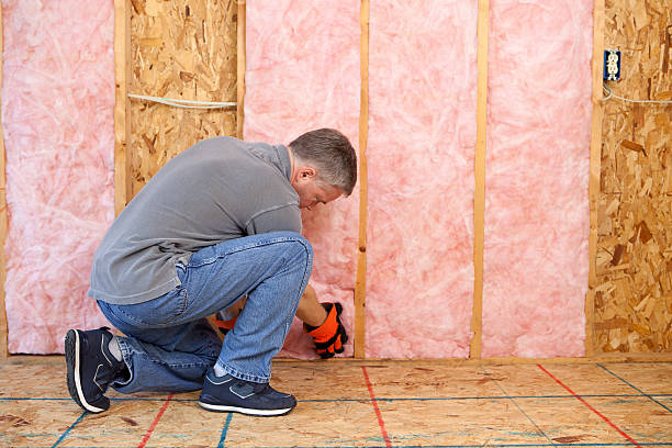 Insulation Replacement Services in Mont Belvieu, TX