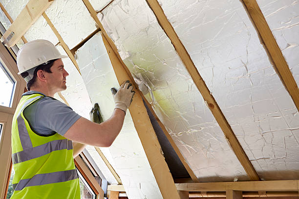 Best Spray Foam Insulation  in Mont Belvieu, TX