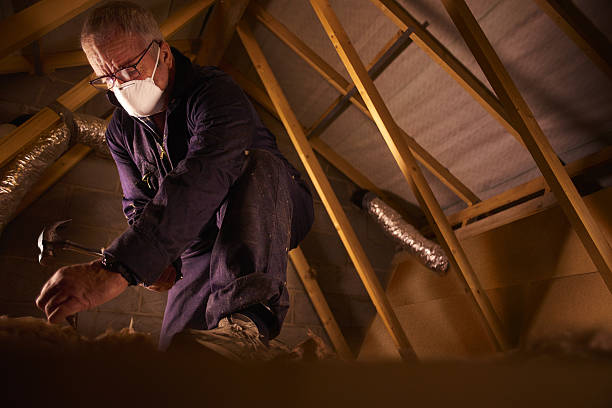 Attic Insulation Near Me in Mont Belvieu, TX