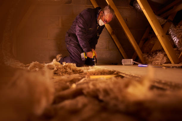 Best Insulation Inspection Services  in Mont Belvieu, TX